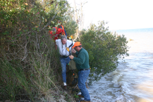 Exploring the shoreline together!