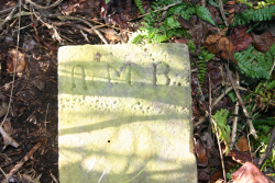 Headstone on the shoreline